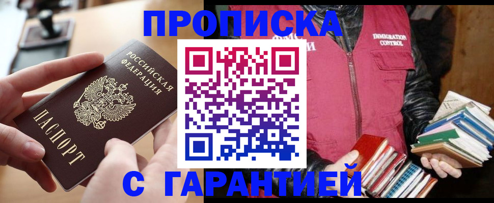 прописка поиск в Щёкино